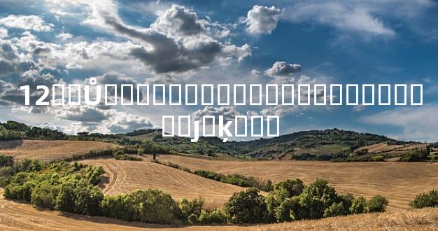 12��Ů����������������������ȷ�ķ���