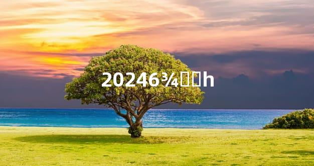 20246¾ѡƵһ