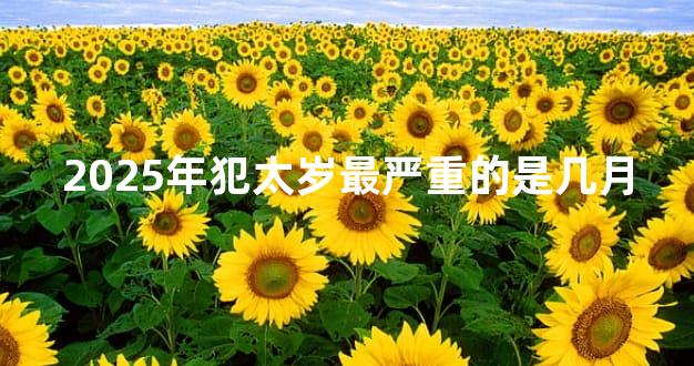 2025年犯太岁最严重的是几月