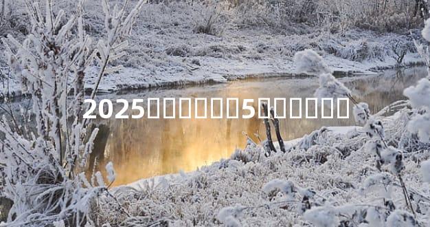 2025�그̫���5������