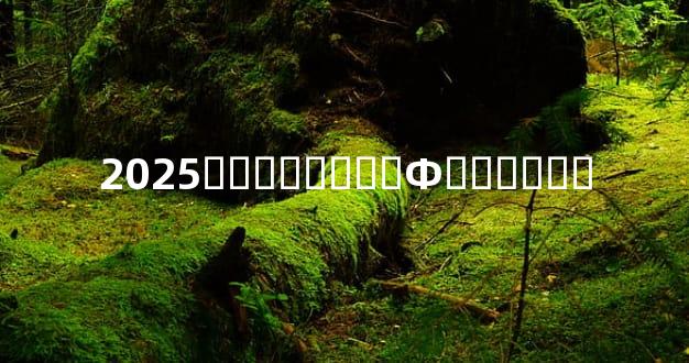 2025�그̫�����Ф������