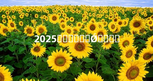 2025��̫���Ǿ���˭