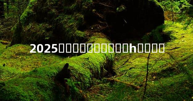 2025��̫�������һ����