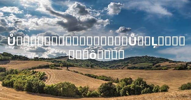 Ů�������������ͼ�⣬Ů�˵Ļ�������ô����