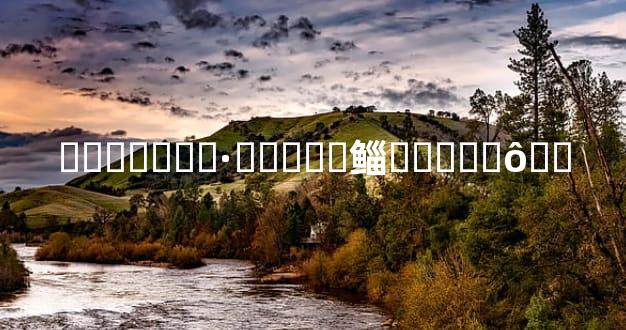 ѹ��̫���·��޸��鲻�͸���ô��