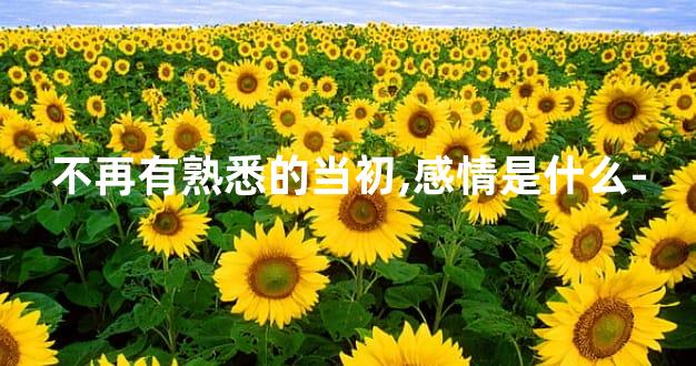 不再有熟悉的当初,感情是什么-