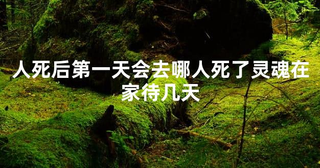 人死后第一天会去哪人死了灵魂在家待几天