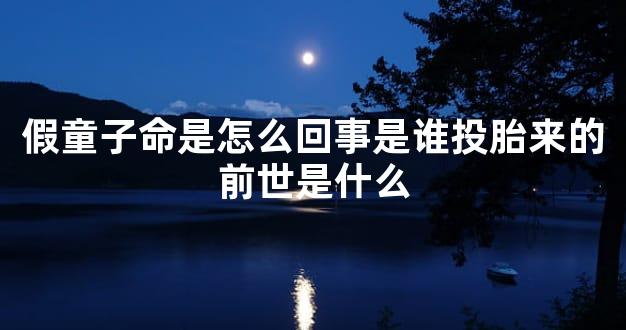 假童子命是怎么回事是谁投胎来的前世是什么