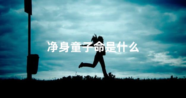净身童子命是什么