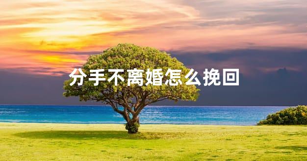 分手不离婚怎么挽回