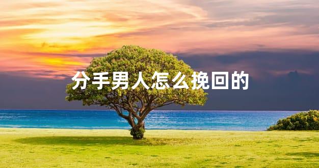 分手男人怎么挽回的