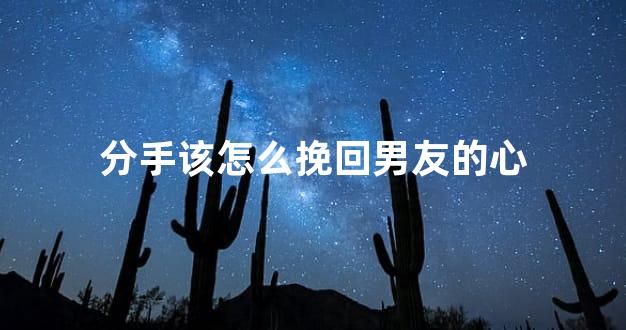 分手该怎么挽回男友的心