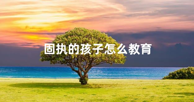 固执的孩子怎么教育