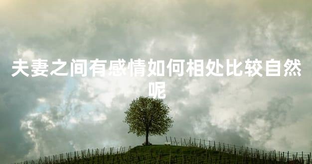 夫妻之间有感情如何相处比较自然呢