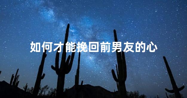 如何才能挽回前男友的心
