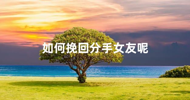 如何挽回分手女友呢