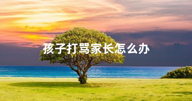 孩子打骂家长怎么办