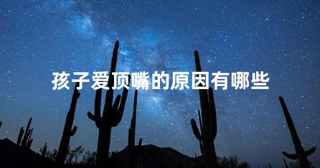 孩子爱顶嘴的原因有哪些