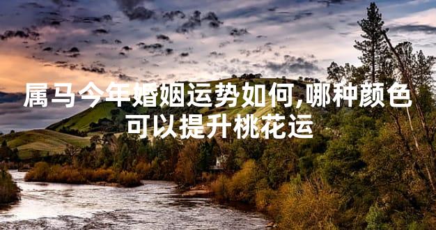 属马今年婚姻运势如何,哪种颜色可以提升桃花运