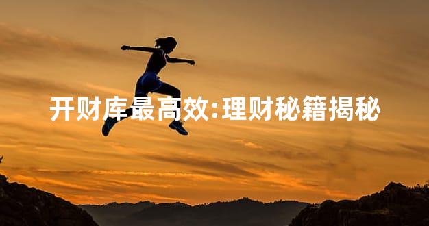 开财库最高效:理财秘籍揭秘