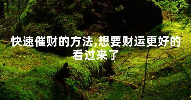 快速催财的方法,想要财运更好的看过来了