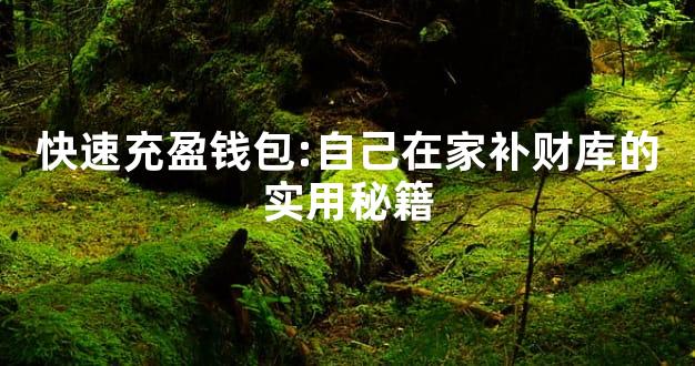 快速充盈钱包:自己在家补财库的实用秘籍