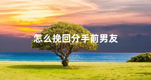 怎么挽回分手前男友