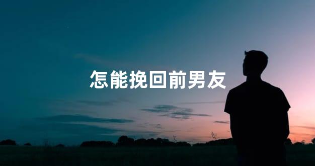 怎能挽回前男友
