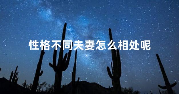 性格不同夫妻怎么相处呢
