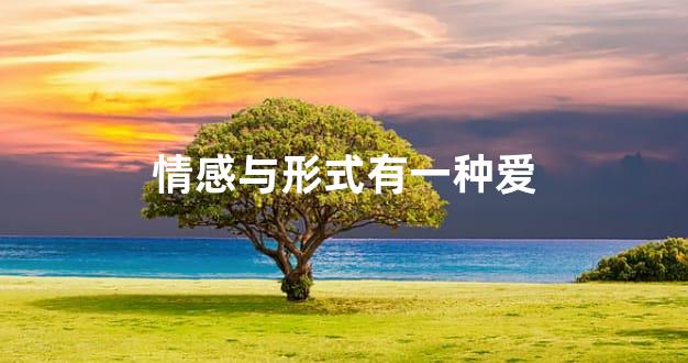 情感与形式有一种爱