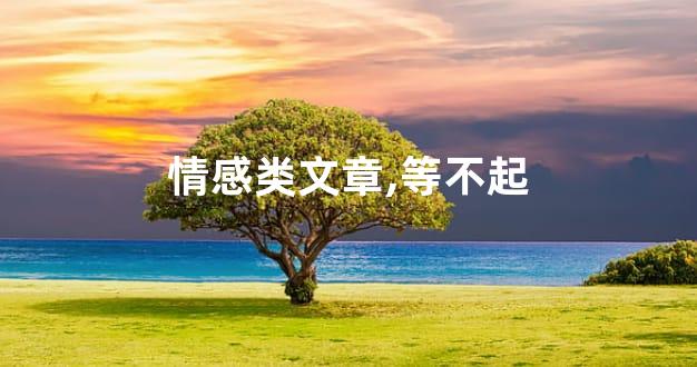 情感类文章,等不起