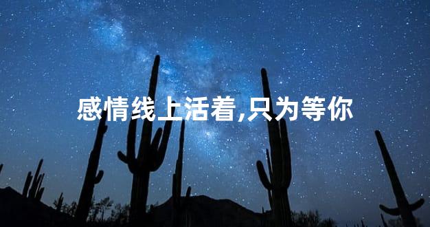 感情线上活着,只为等你