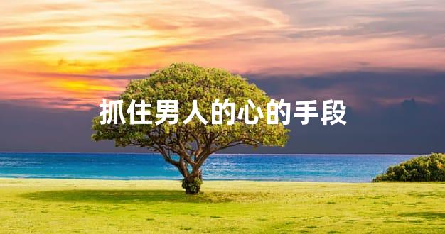抓住男人的心的手段