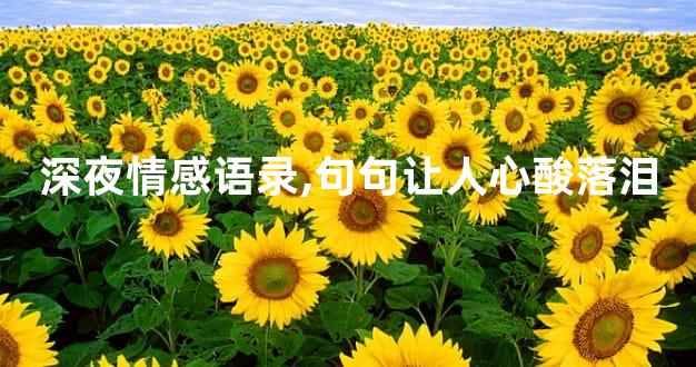 深夜情感语录,句句让人心酸落泪