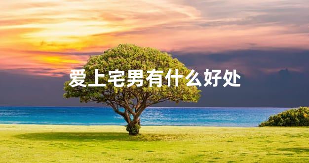 爱上宅男有什么好处