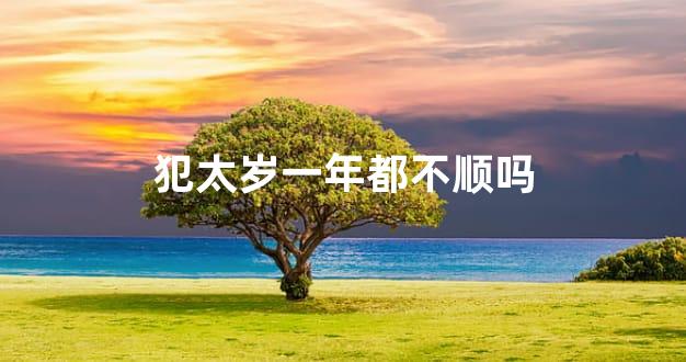 犯太岁一年都不顺吗