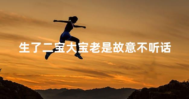 生了二宝大宝老是故意不听话