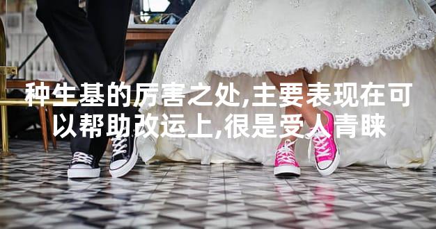 种生基的厉害之处,主要表现在可以帮助改运上,很是受人青睐
