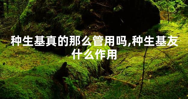种生基真的那么管用吗,种生基友什么作用