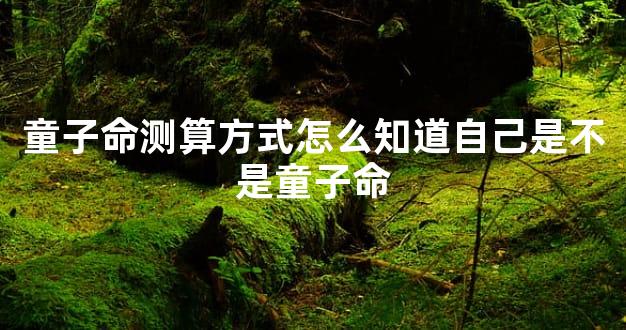 童子命测算方式怎么知道自己是不是童子命