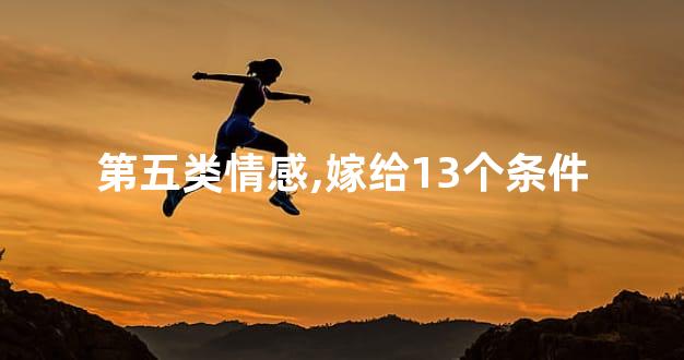 第五类情感,嫁给13个条件