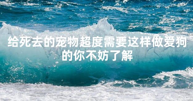 给死去的宠物超度需要这样做爱狗的你不妨了解