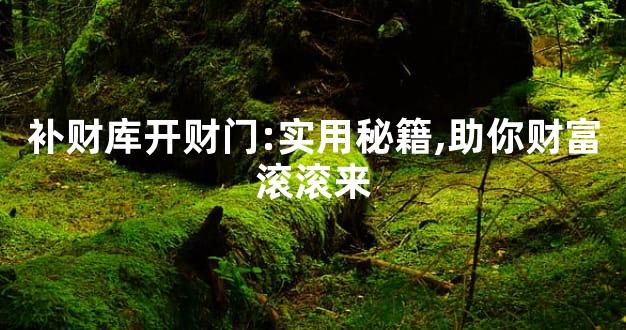 补财库开财门:实用秘籍,助你财富滚滚来