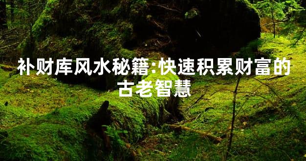 补财库风水秘籍:快速积累财富的古老智慧