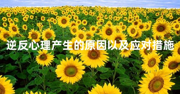 逆反心理产生的原因以及应对措施