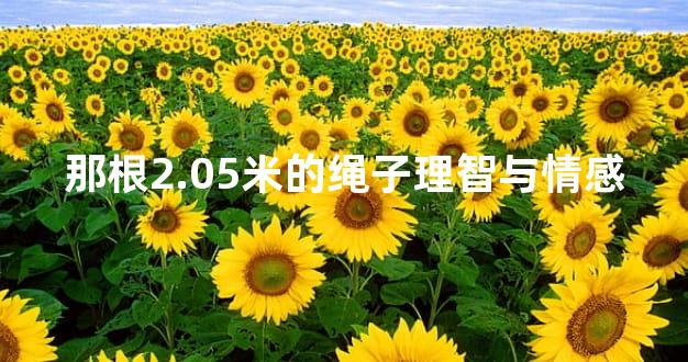 那根2.05米的绳子理智与情感