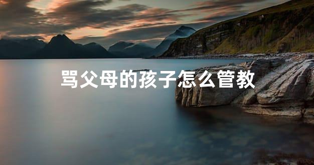 骂父母的孩子怎么管教