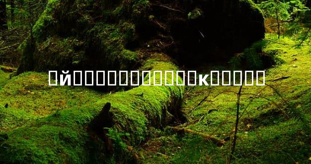 �й���ͯ�����˸�ĸ��˵��