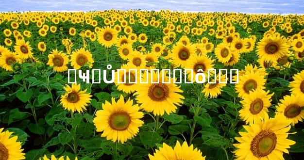 �Ҹ�Ů�ѷ�����ô���