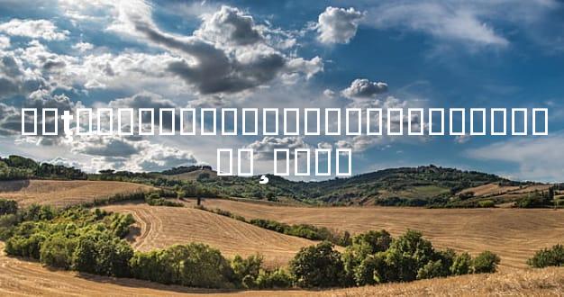 ��ţ��̫�����ѷ������������⼸���¸���Ҫ